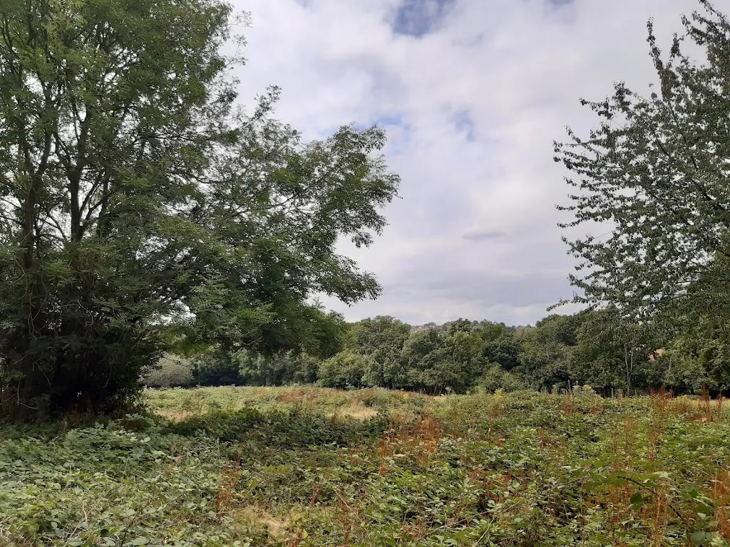 Haydon Hall Meadows