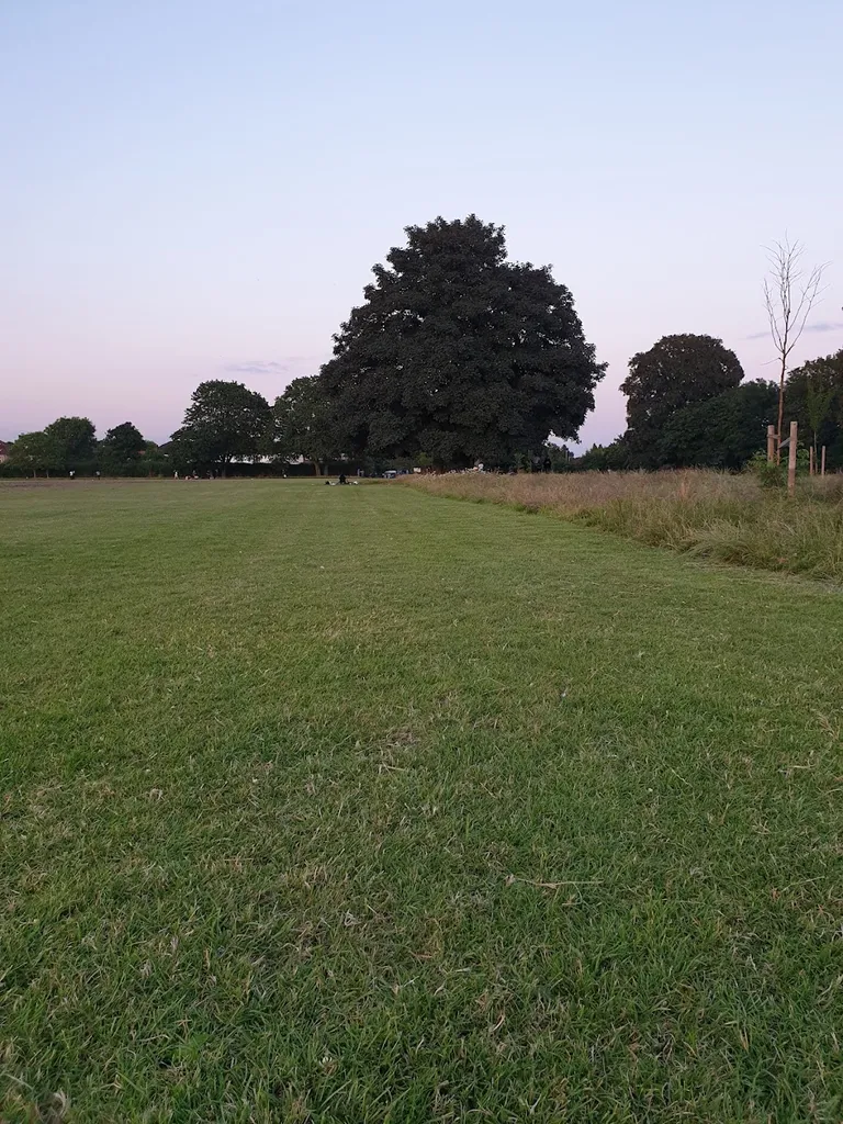 Hayes End Park