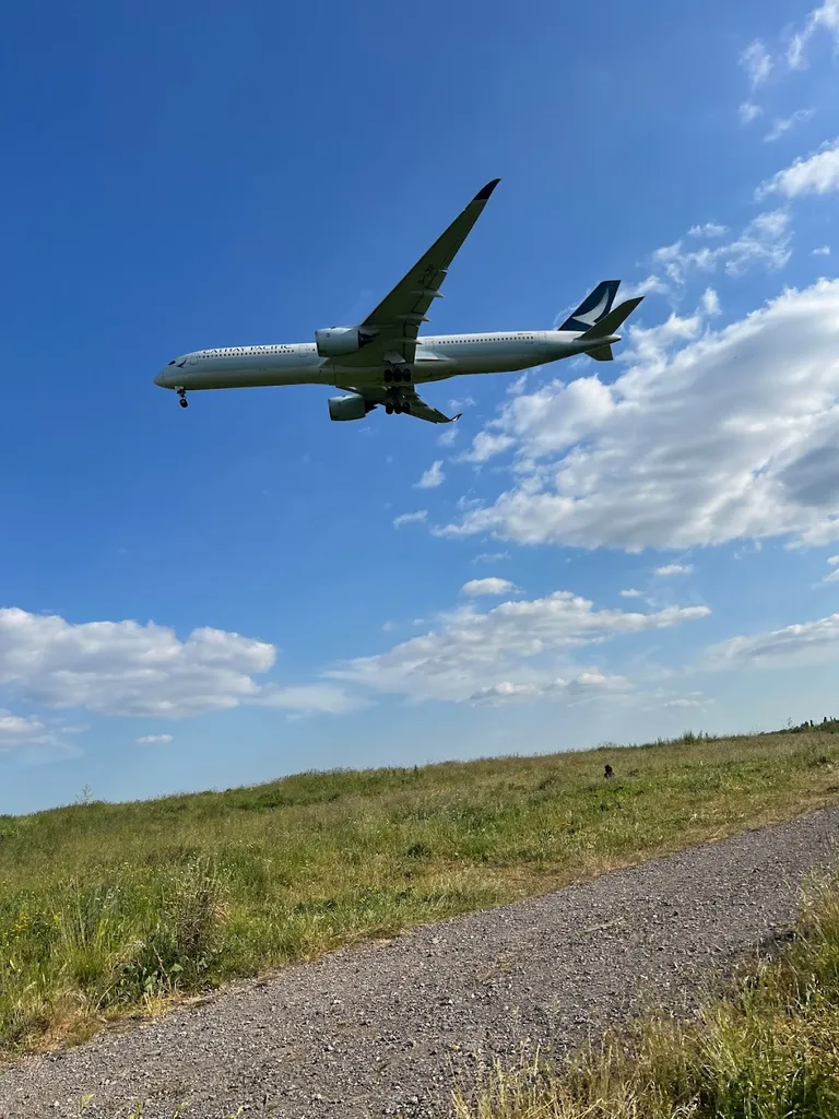 Heathrow Nature Reservation