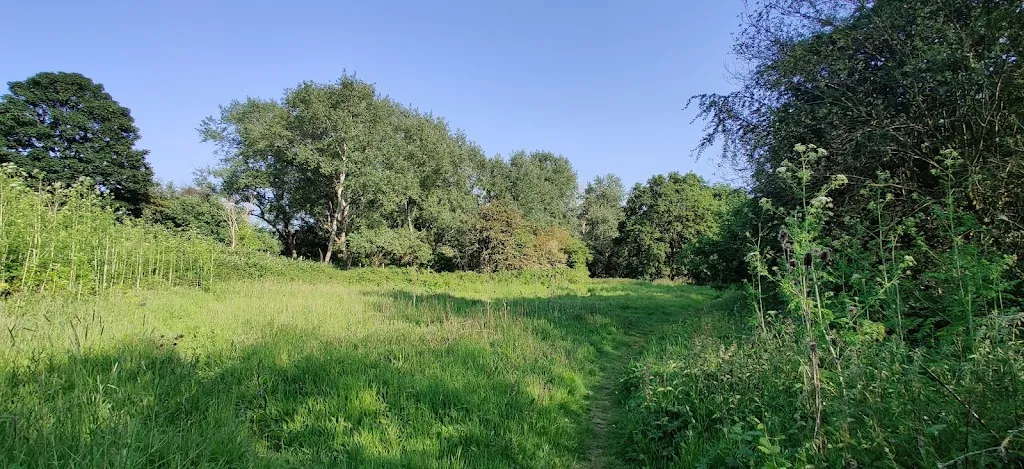 Hidden Meadow