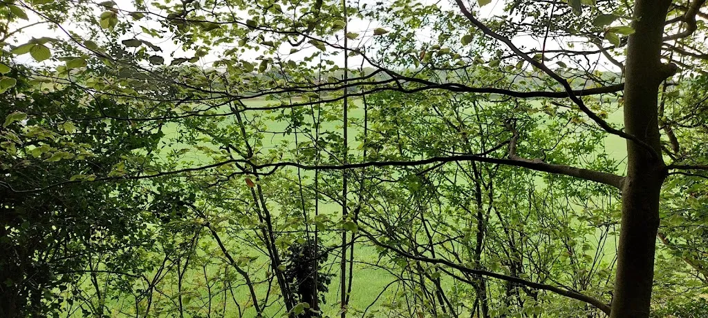 High Elms Main Car Park