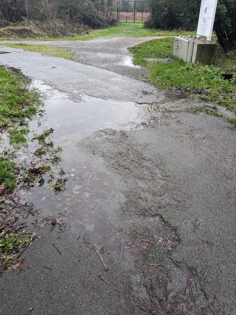 Hill Lane footpath