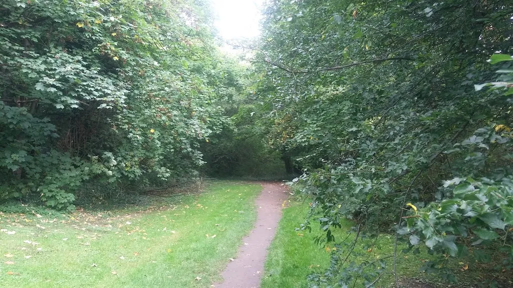 Hillcrest Wood
