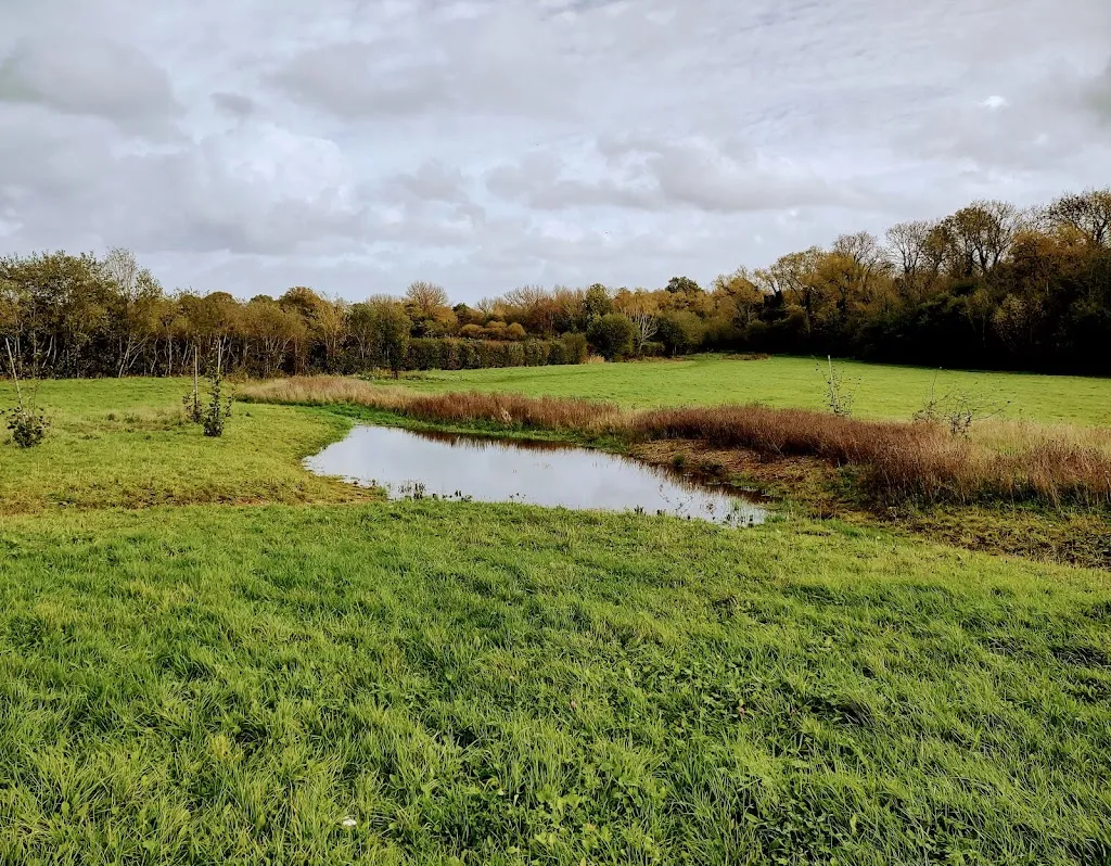 Hillingdon House Farm Newt waterways project
