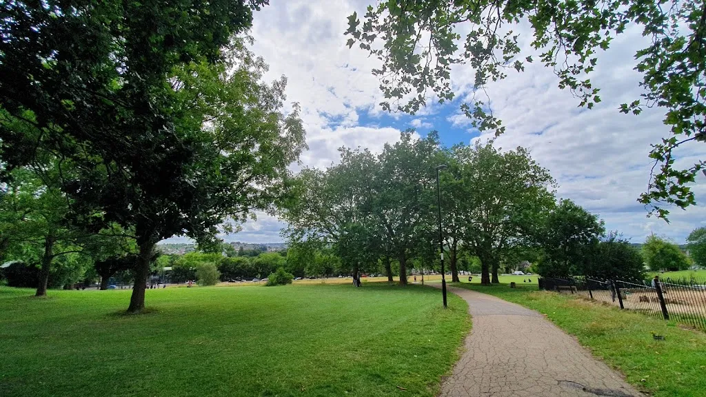 Hilly Fields
