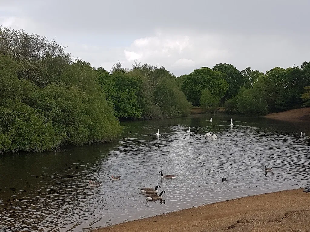 Hollow Pond Boat House Car Park