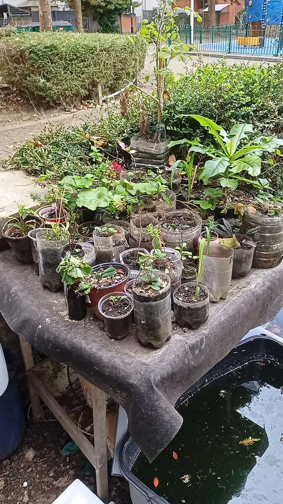 Honor Oak Community Plant Nursery