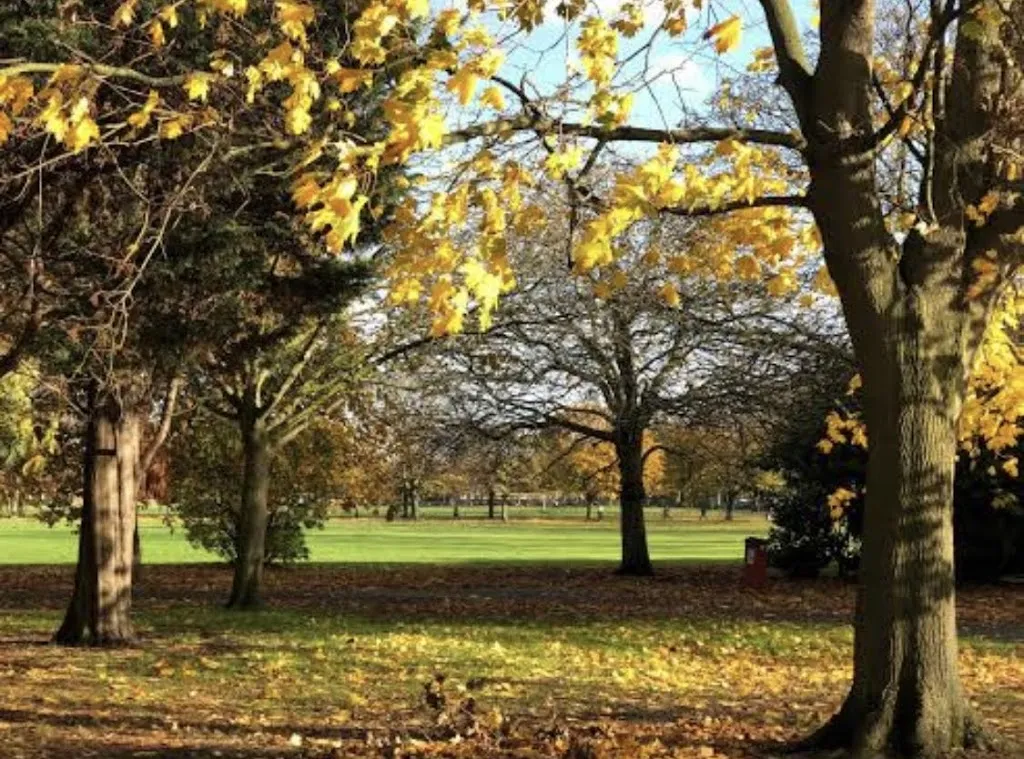 Hornfair Park