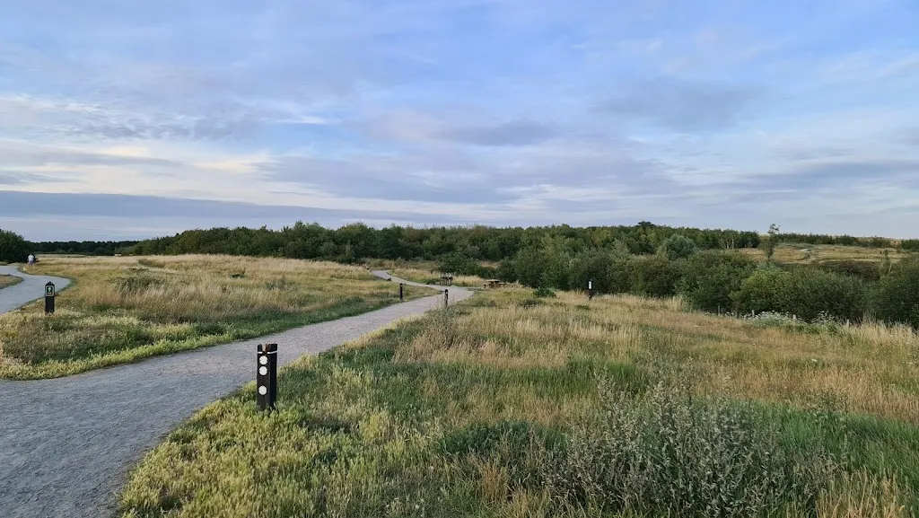 Ingrebourne Hill Bike Park