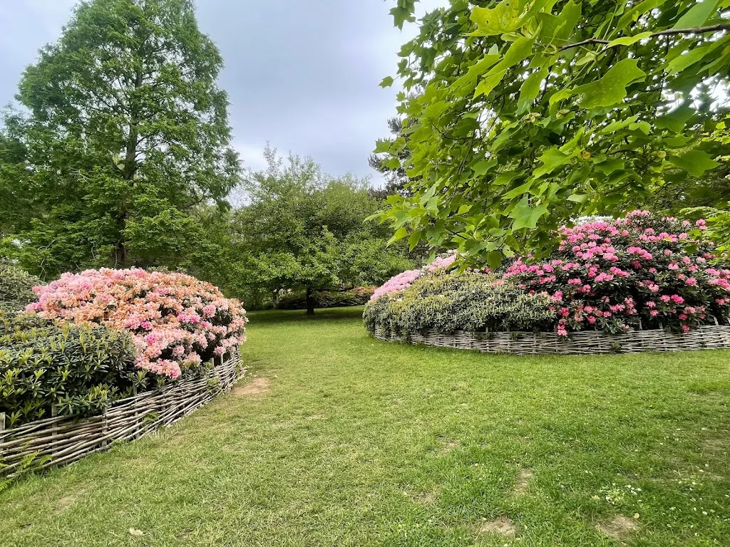 Isabella Plantation