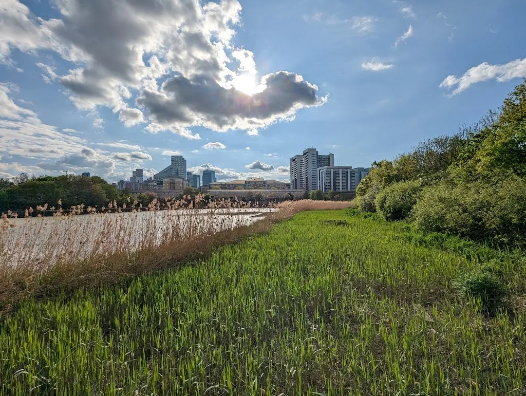 Jamestown Way Waterfront Park