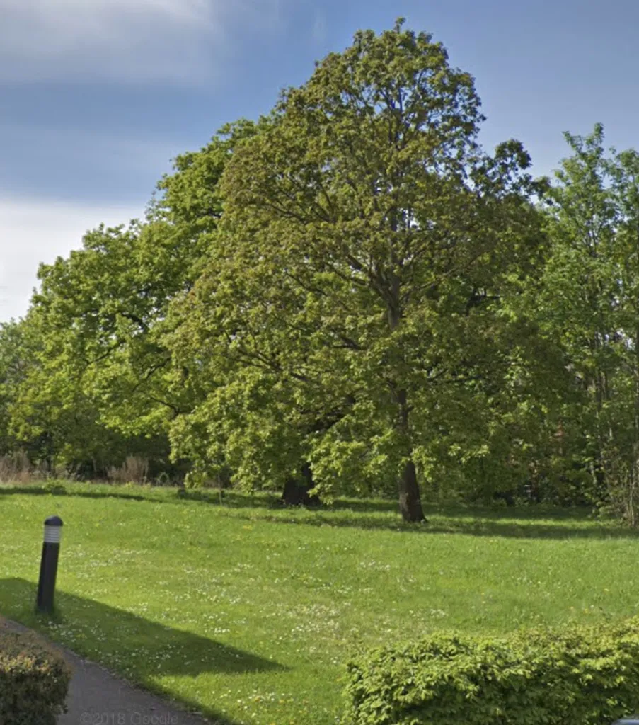 Kaplan Drive / Pennington Drive Public Open Space