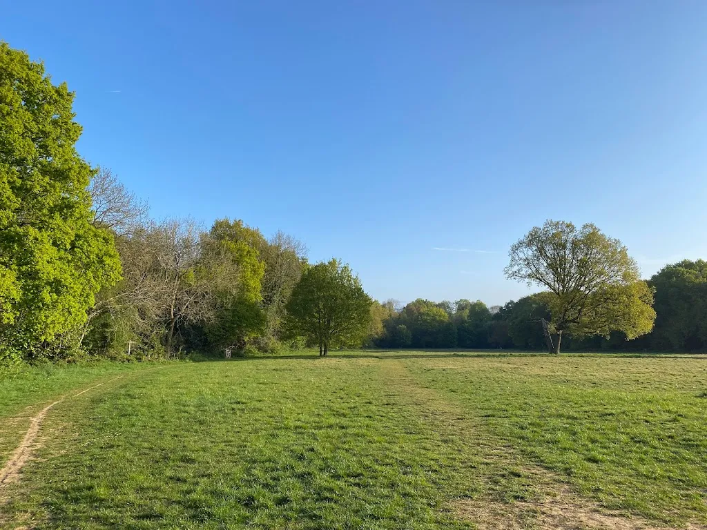 Kenley Common