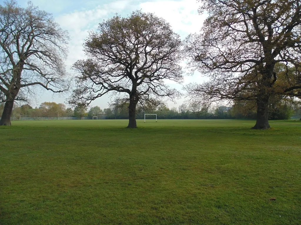 King George Field
