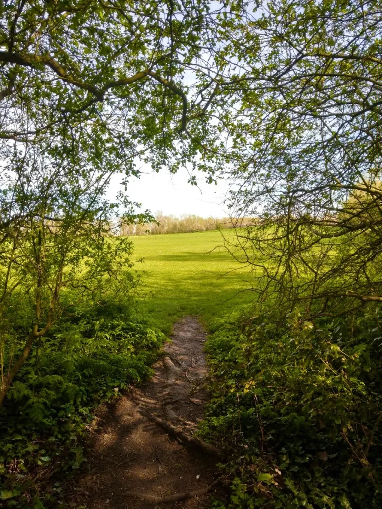 King George's Field