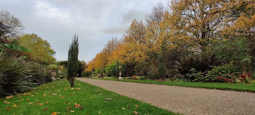 Kings College Playing Fields