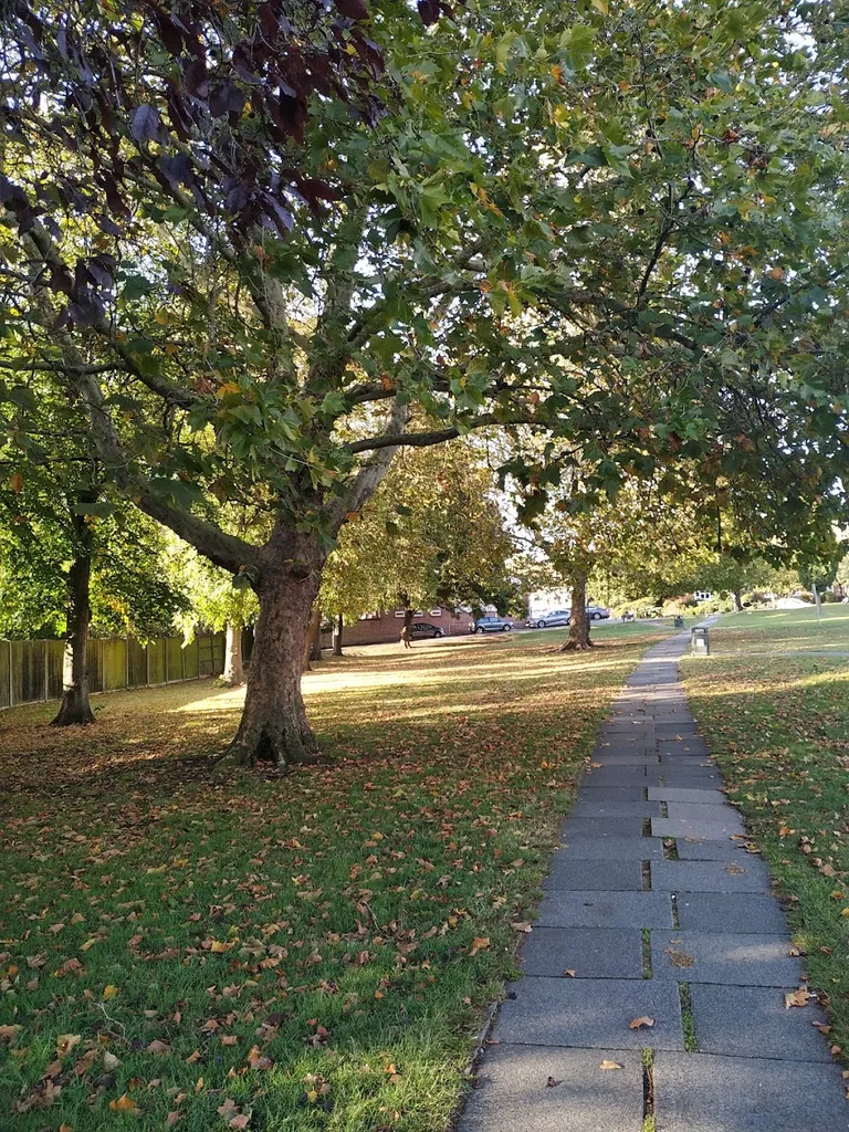 Kingsbury green
