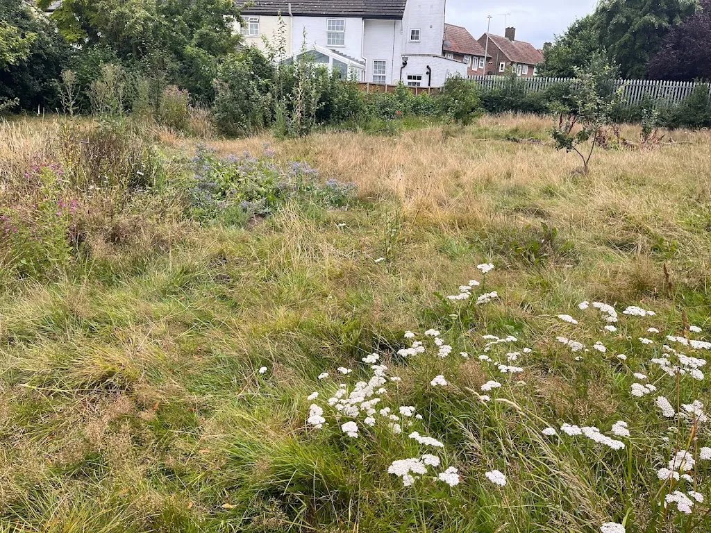 Kingston Road Recreation Ground Nature Area