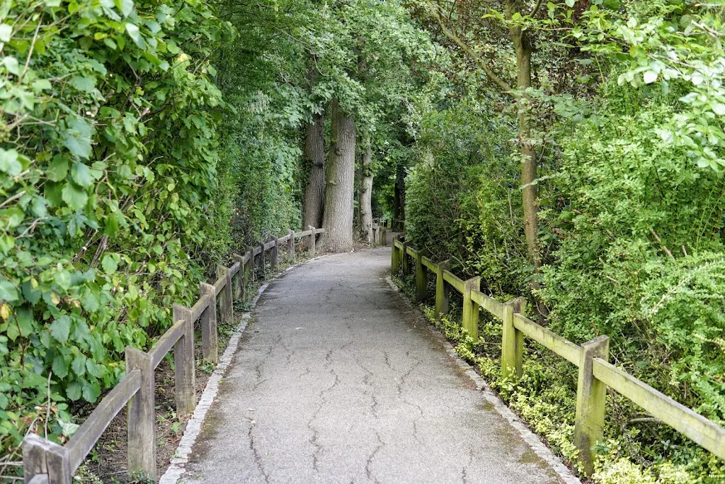 Kingswood Glen