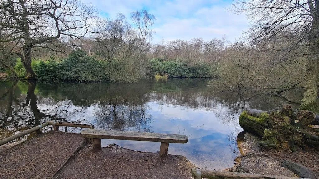 Knighton Lake