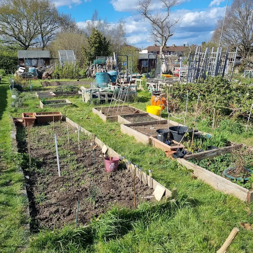 Knollmead Allotments