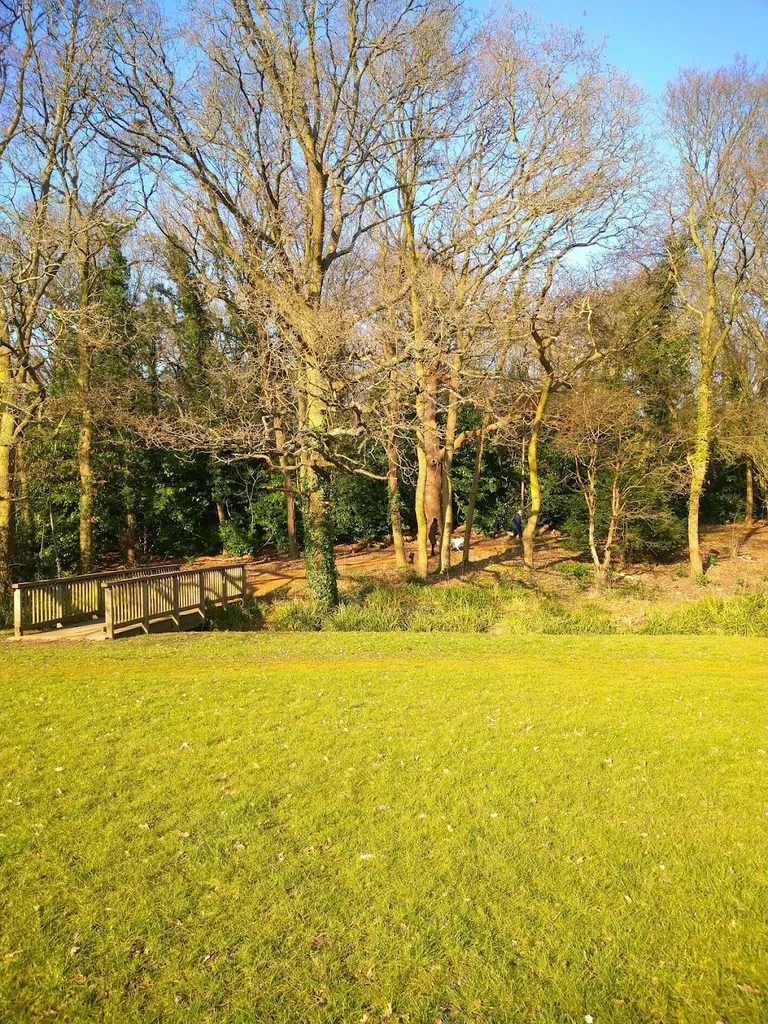 Lake Grove Park