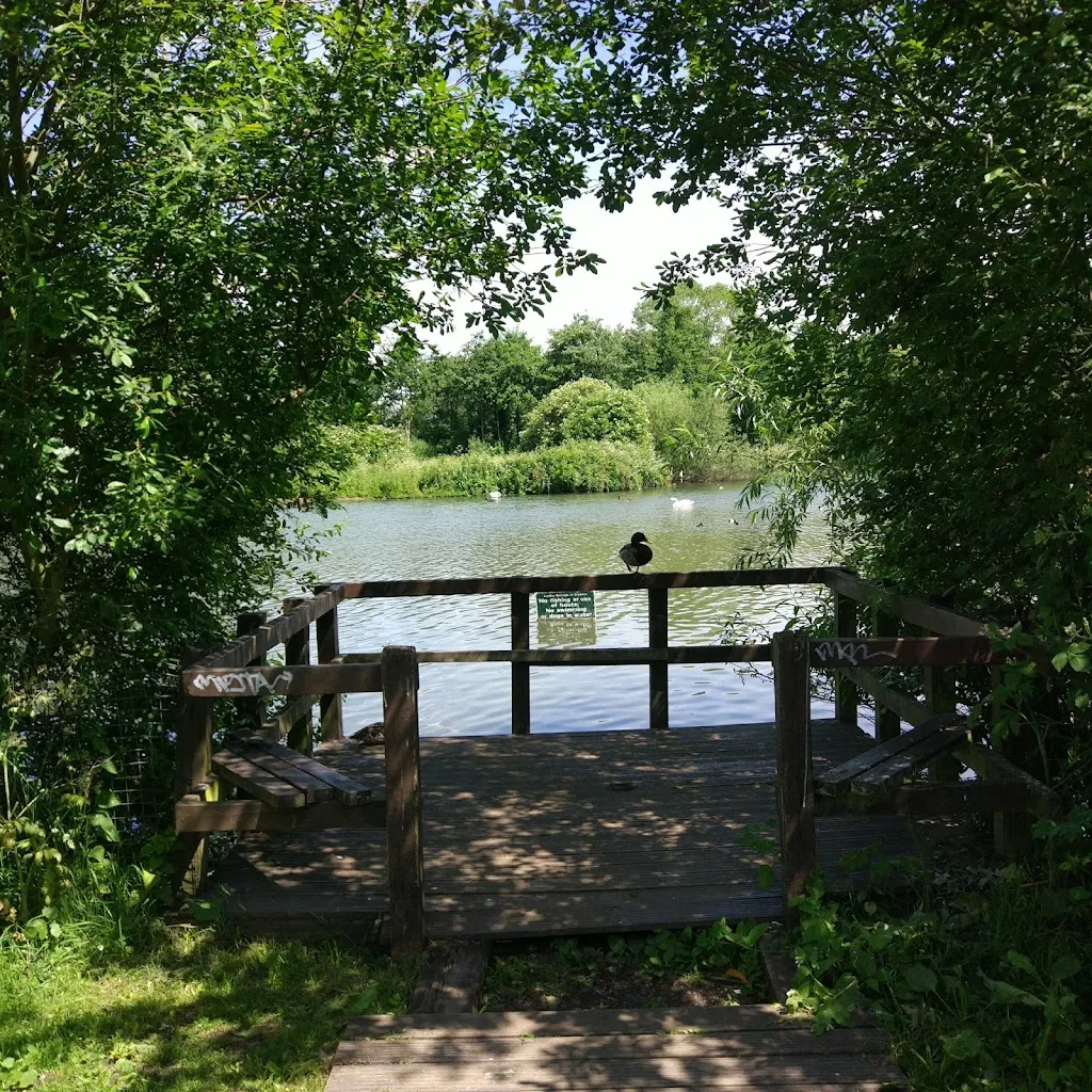 Lake viewing platform