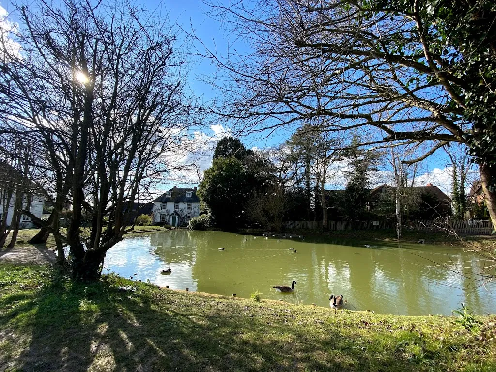Laurel Farm Pond