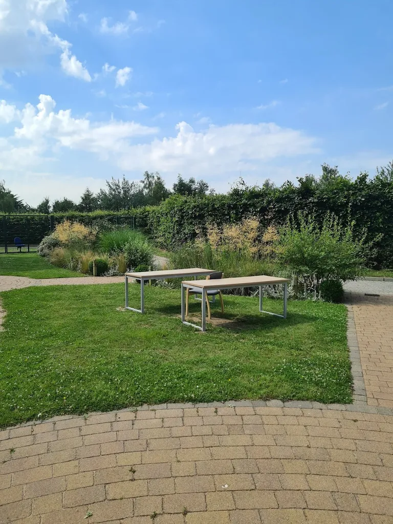 Lavender Garden @Queen's