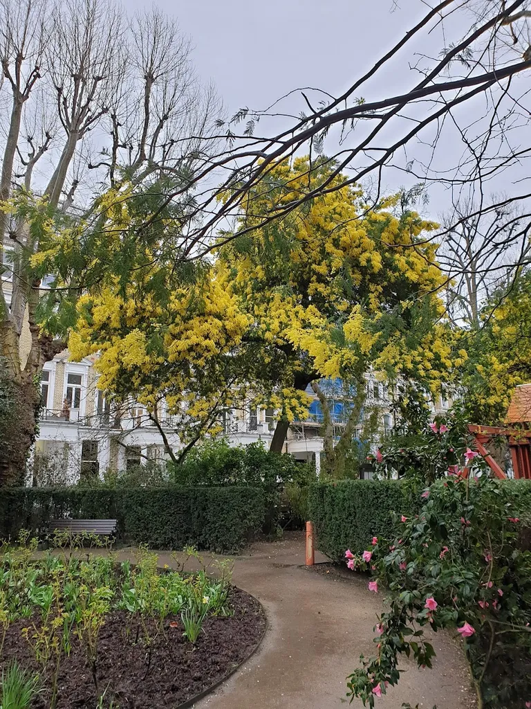 Lexham Gardens (private gardens)