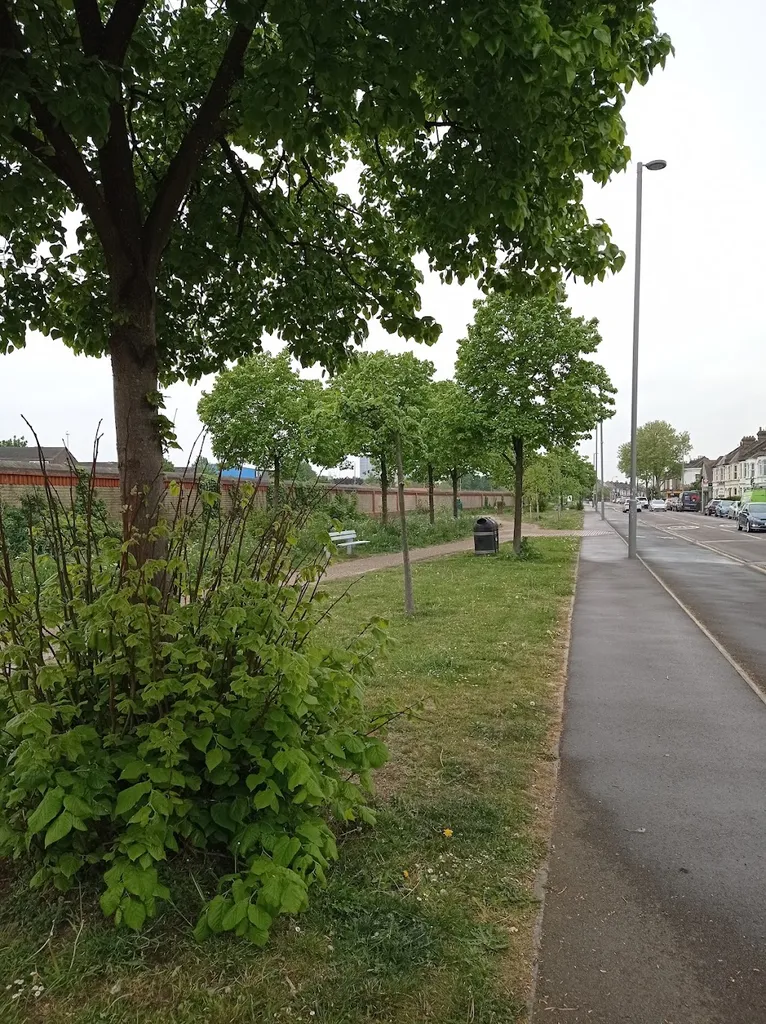 Leytonstone Linear Park