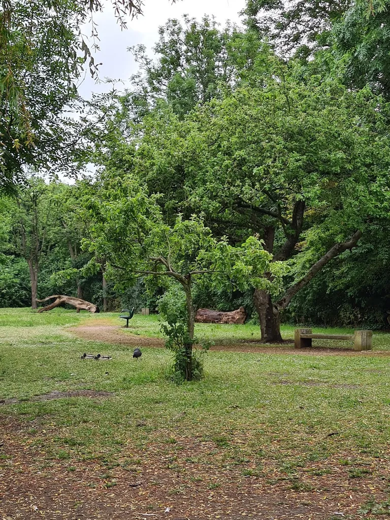 Linear Park