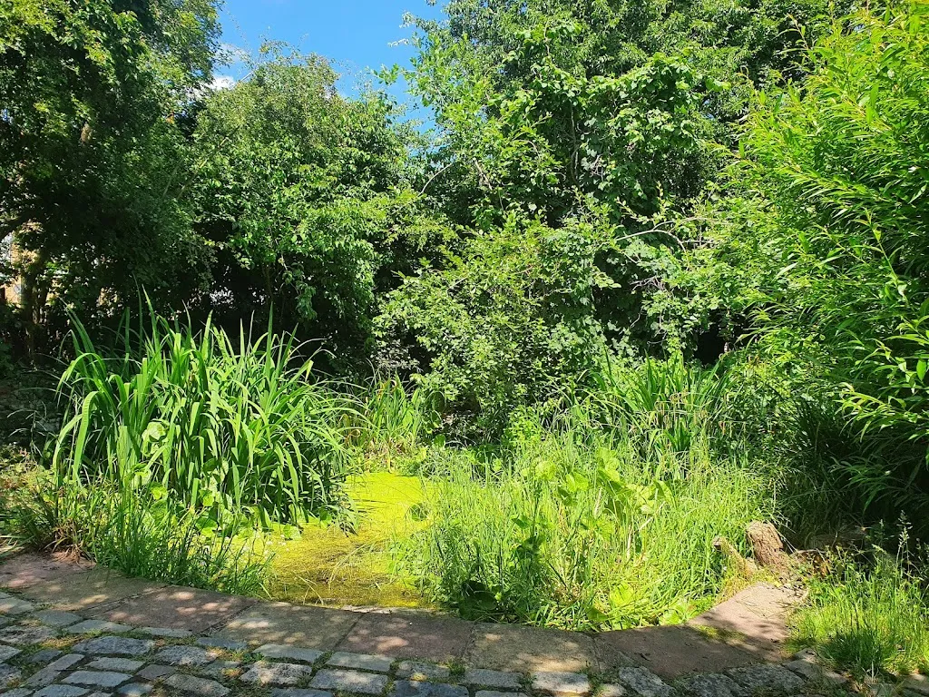London Wildlife Trust Centre For Wildlife Gardening