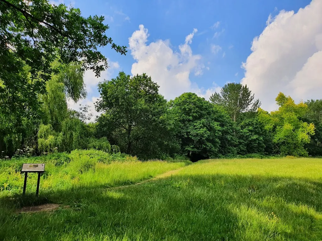 Long Meadow