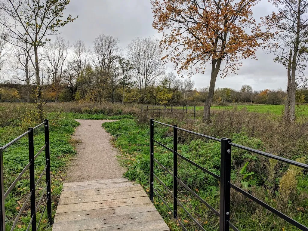 Longfield Meadows