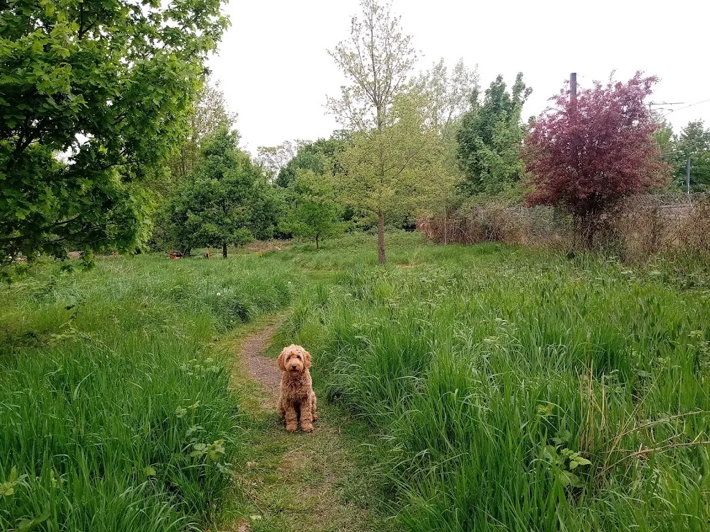 Love Lane Green