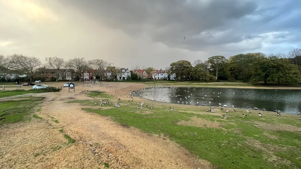 Manor Park