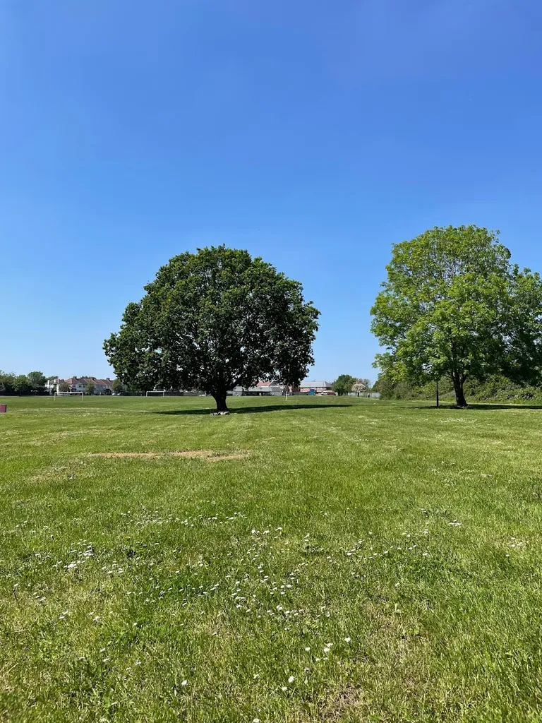 Maybank Open Space