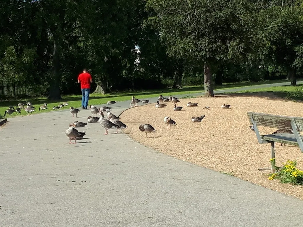 Mayesbrook Park North Lake