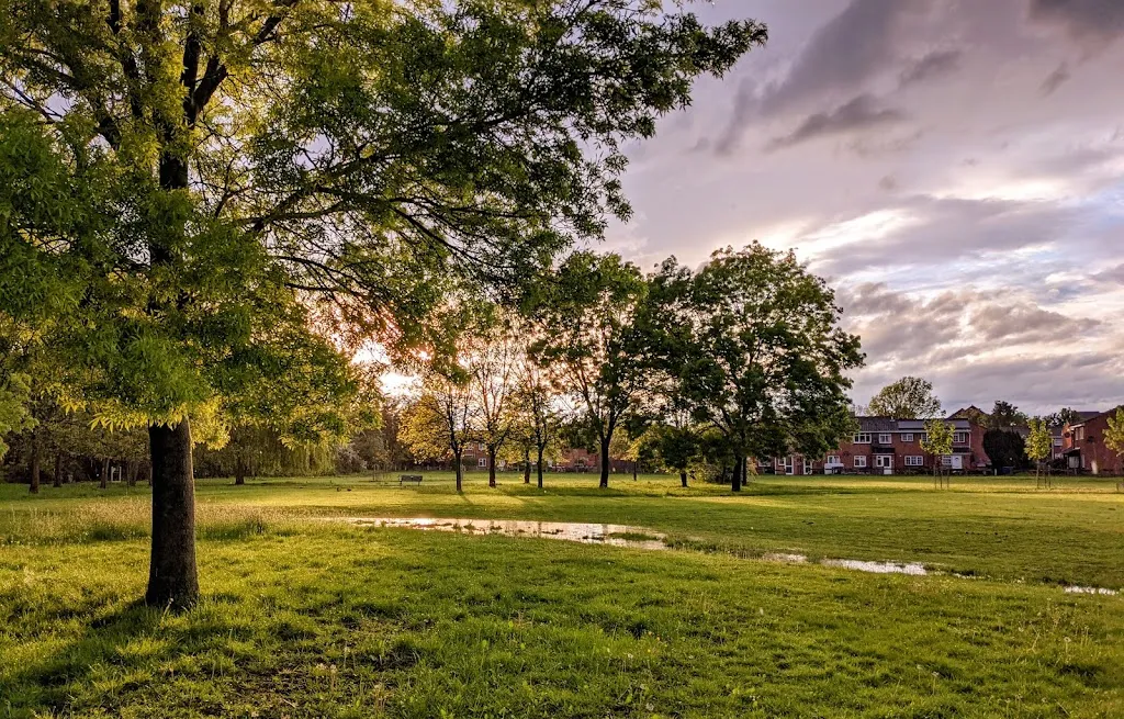 Medlar Park