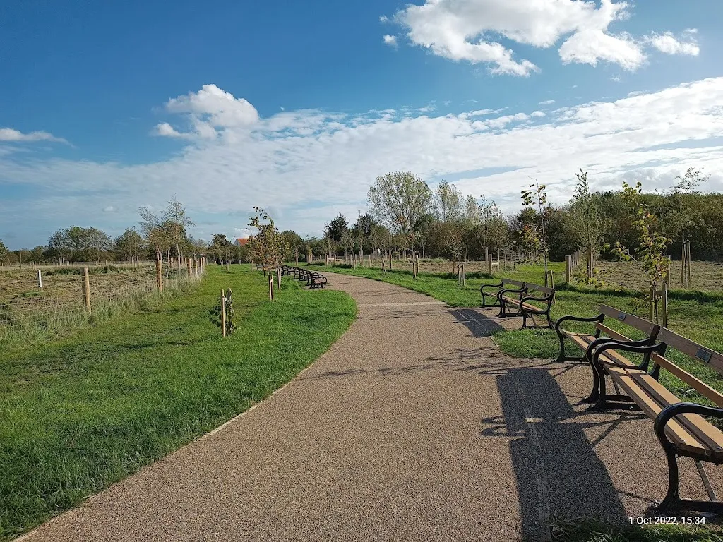 Memorial Woodland