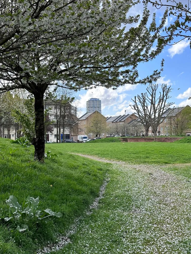 Millennium Green