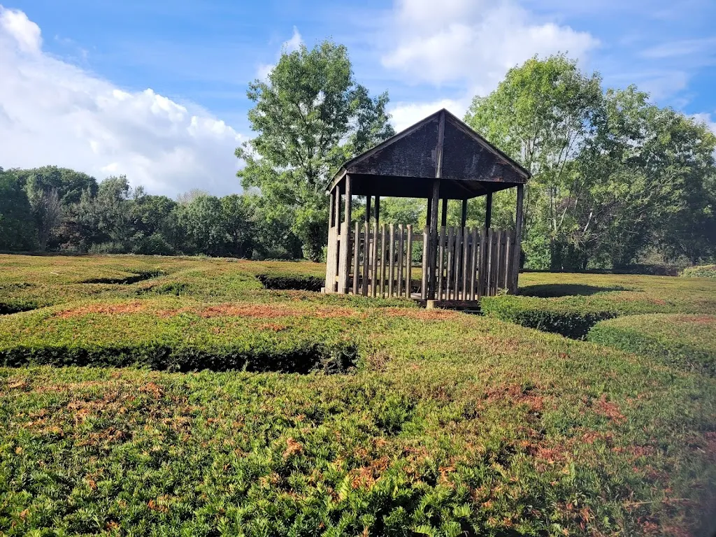 Millennium Maze