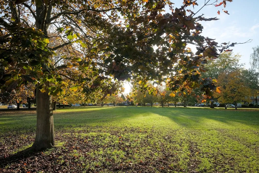 Milton Court Open Space