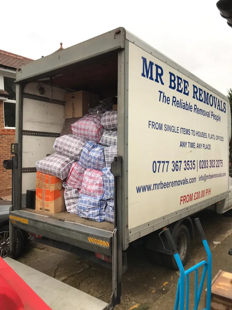 Mr Bee Removals