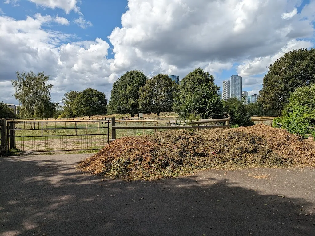 Mudchute Dog Park