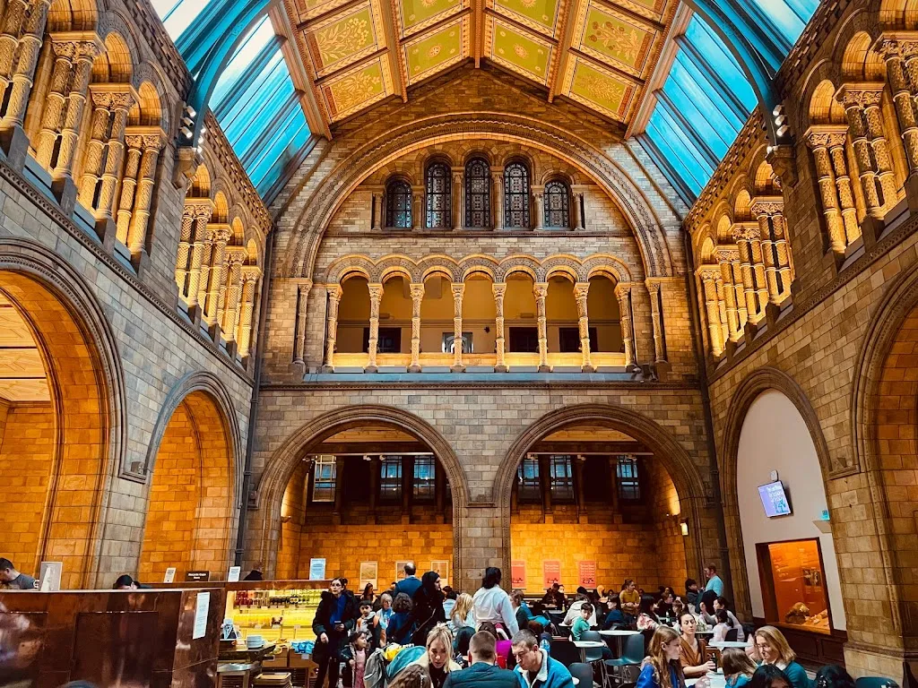 Natural History Museum / Cromwell Road (Stop H)