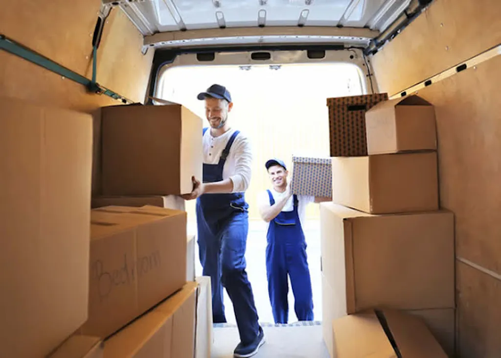 Negão Removals UK