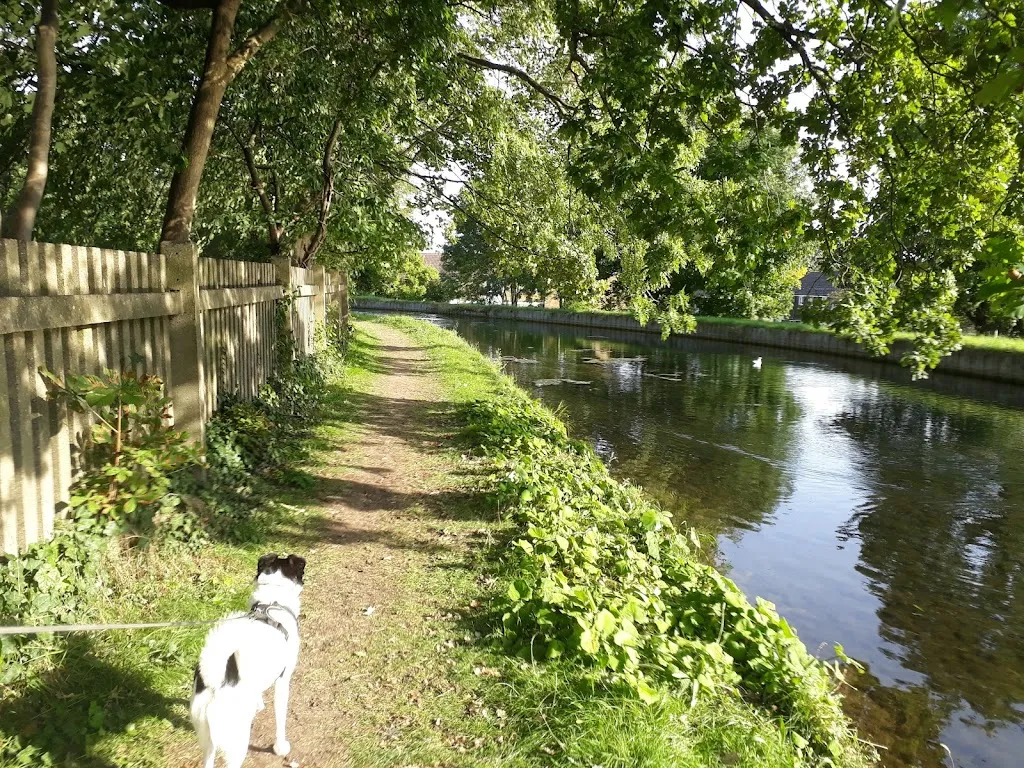 New river path, short scenic riverside walk