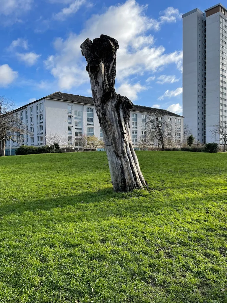 Norland Open Space